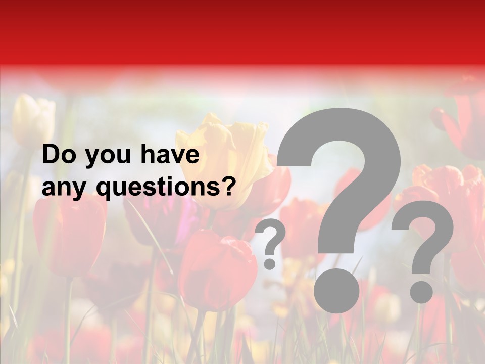 Tulip Yellow May PowerPoint Template