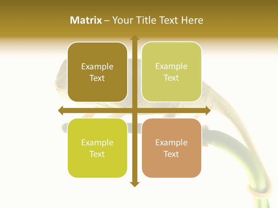 Beauty Chameleon Pigment PowerPoint Template