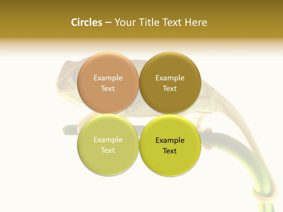 Beauty Chameleon Pigment PowerPoint Template