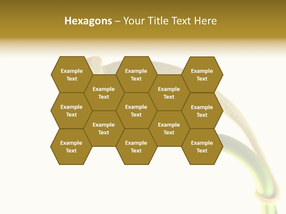 Beauty Chameleon Pigment PowerPoint Template