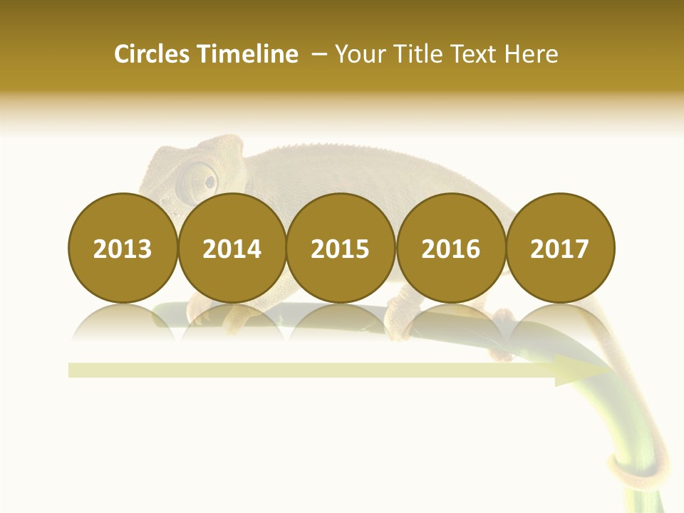 Beauty Chameleon Pigment PowerPoint Template