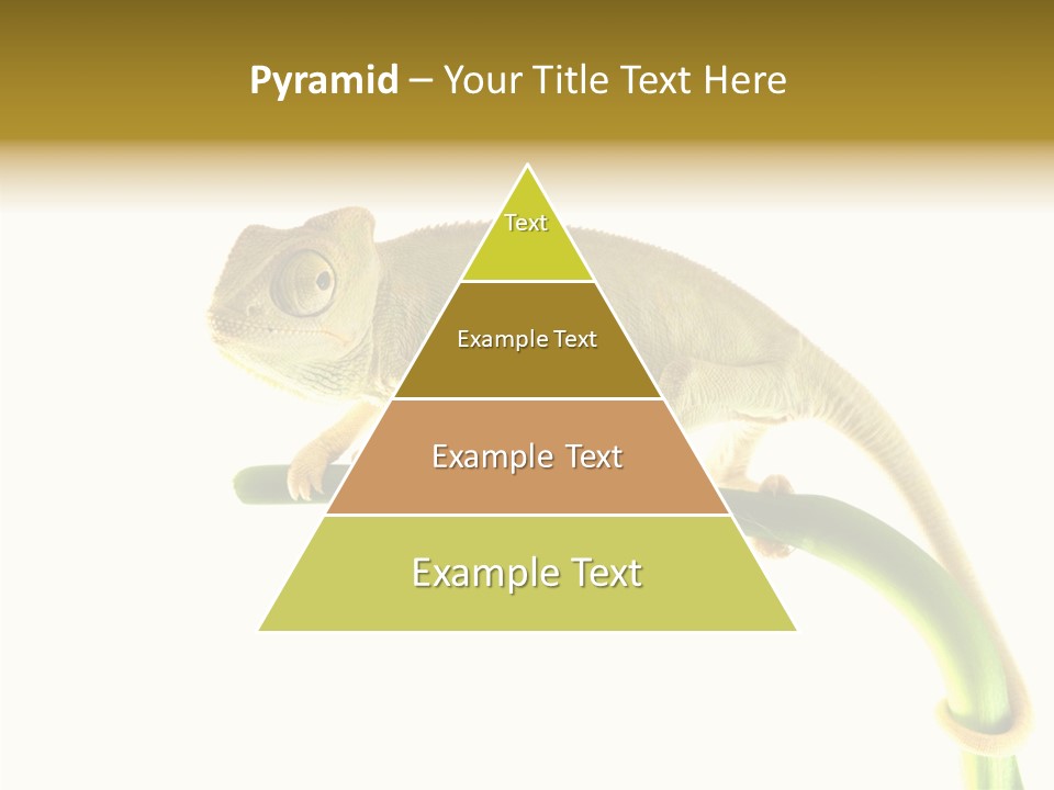 Beauty Chameleon Pigment PowerPoint Template