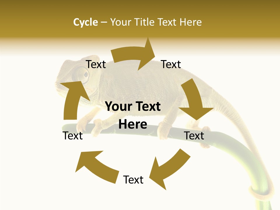 Beauty Chameleon Pigment PowerPoint Template