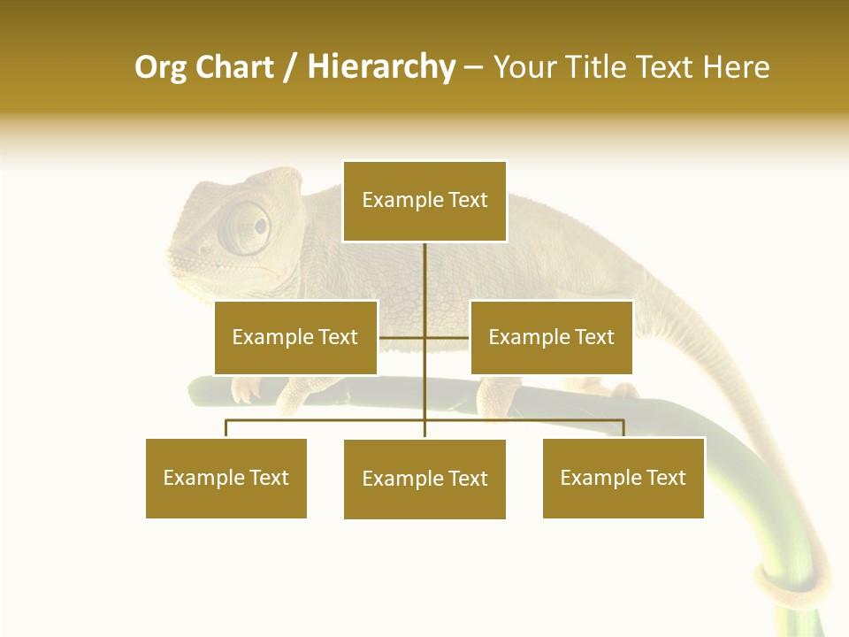 Beauty Chameleon Pigment PowerPoint Template