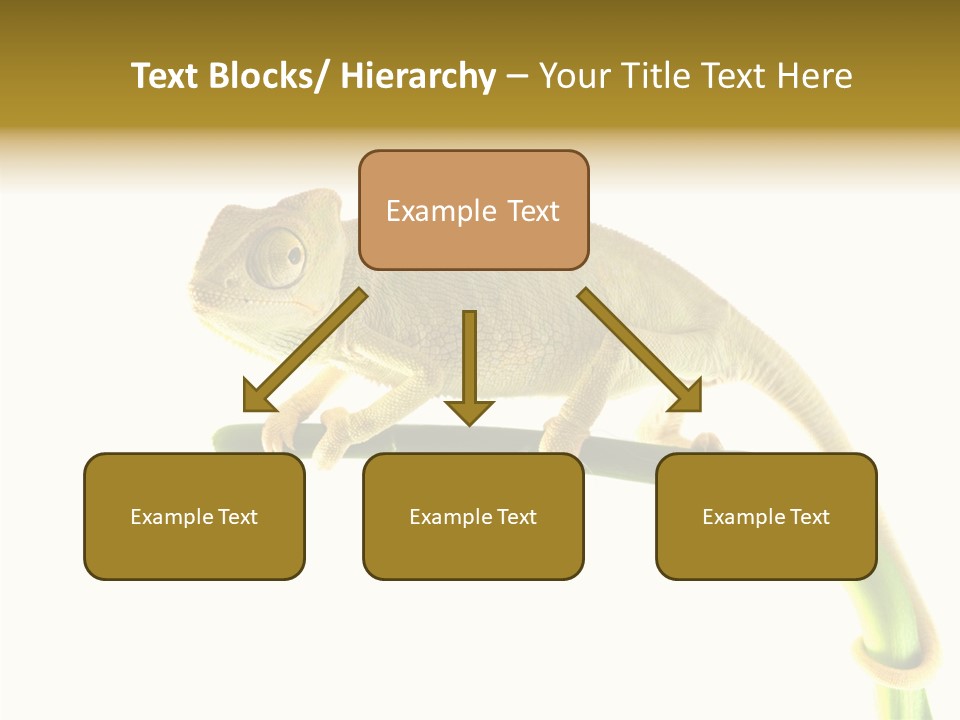 Beauty Chameleon Pigment PowerPoint Template