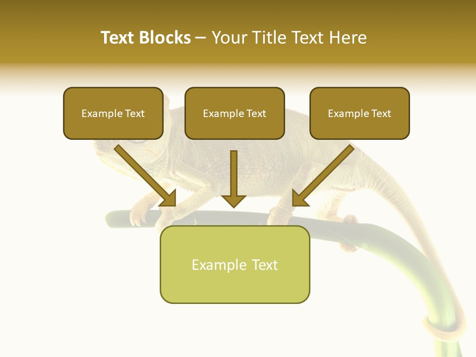 Beauty Chameleon Pigment PowerPoint Template