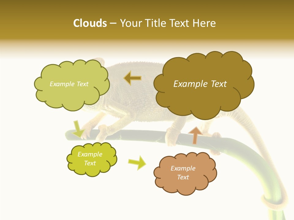Beauty Chameleon Pigment PowerPoint Template