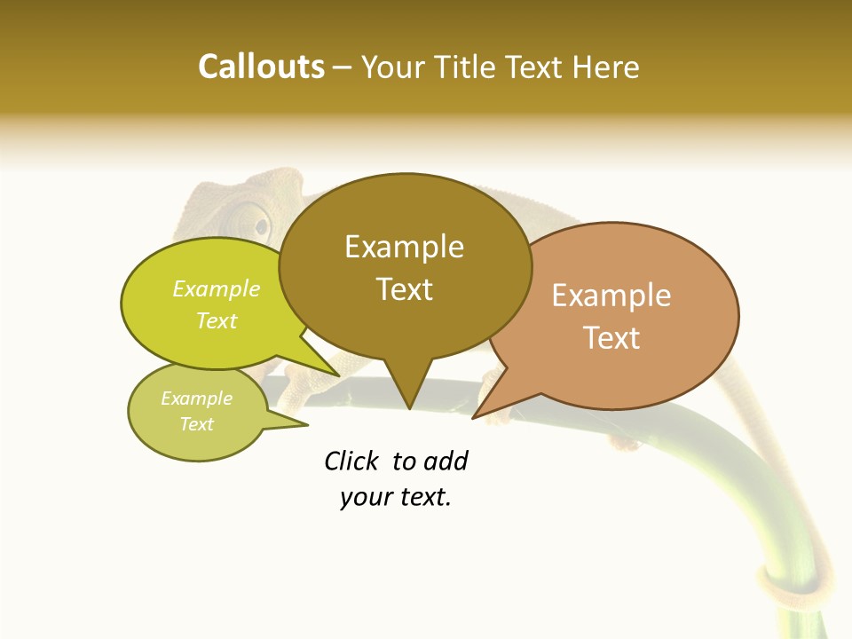 Beauty Chameleon Pigment PowerPoint Template