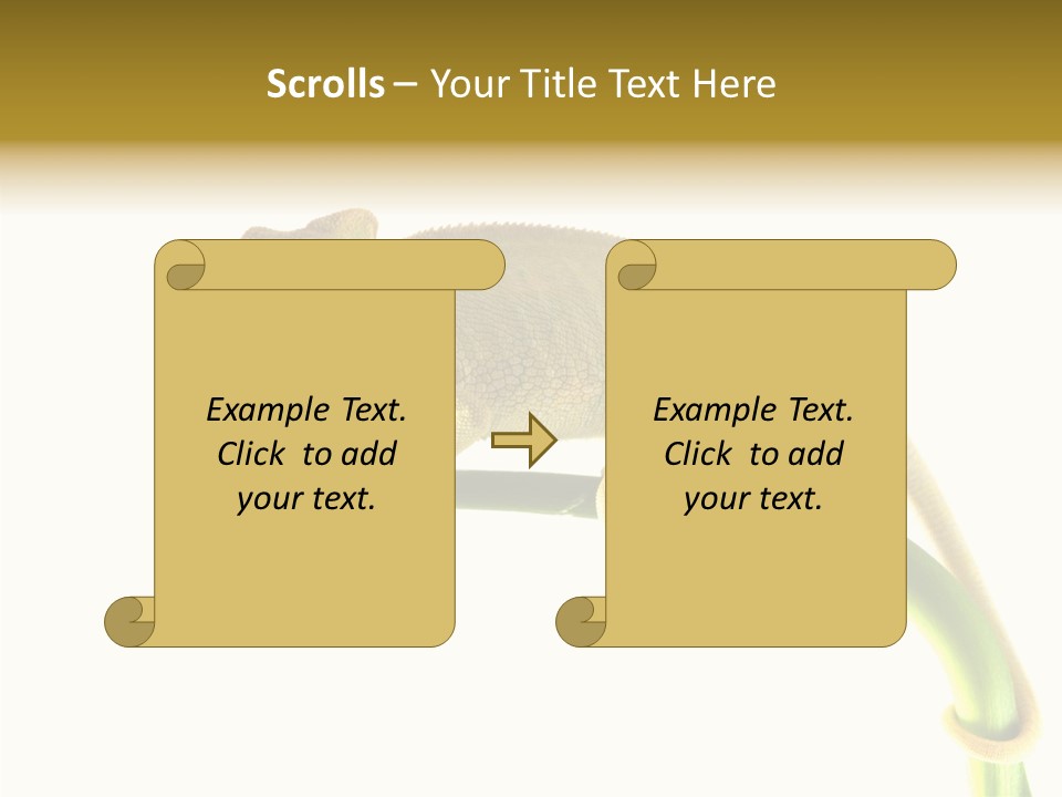 Beauty Chameleon Pigment PowerPoint Template