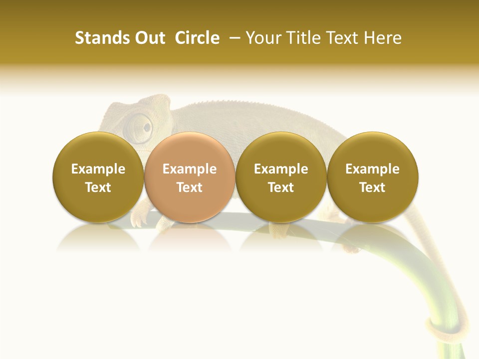 Beauty Chameleon Pigment PowerPoint Template