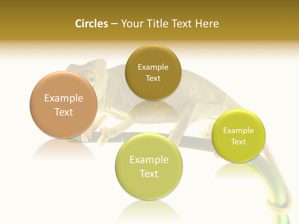 Beauty Chameleon Pigment PowerPoint Template