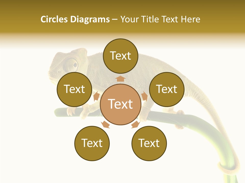 Beauty Chameleon Pigment PowerPoint Template