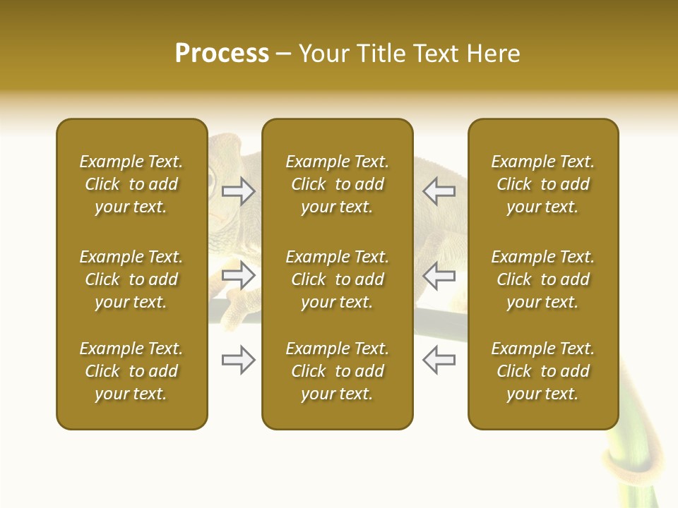 Beauty Chameleon Pigment PowerPoint Template