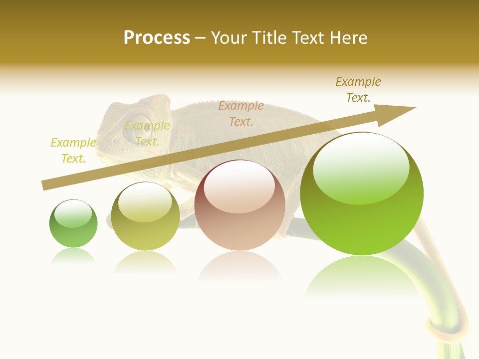 Beauty Chameleon Pigment PowerPoint Template