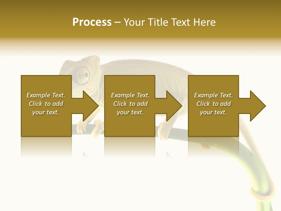 Beauty Chameleon Pigment PowerPoint Template