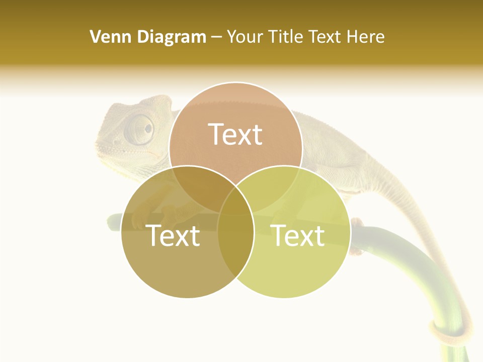 Beauty Chameleon Pigment PowerPoint Template