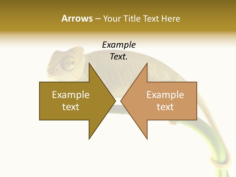 Beauty Chameleon Pigment PowerPoint Template