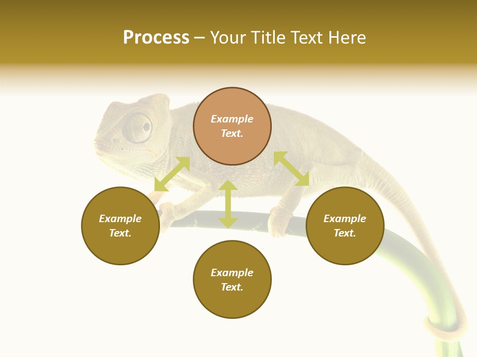 Beauty Chameleon Pigment PowerPoint Template