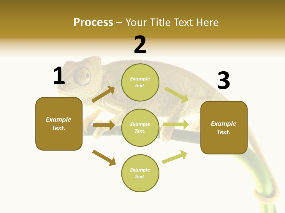 Beauty Chameleon Pigment PowerPoint Template