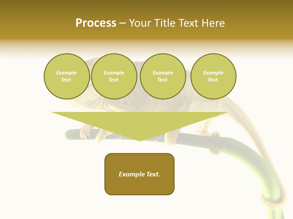 Beauty Chameleon Pigment PowerPoint Template