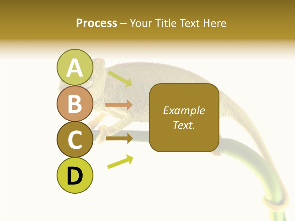 Beauty Chameleon Pigment PowerPoint Template