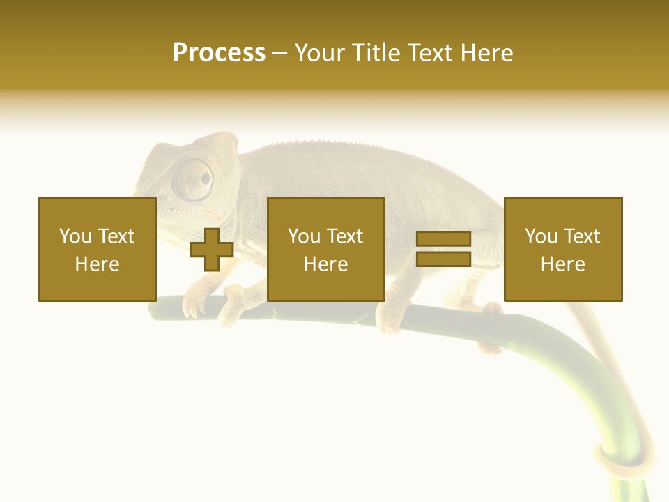 Beauty Chameleon Pigment PowerPoint Template