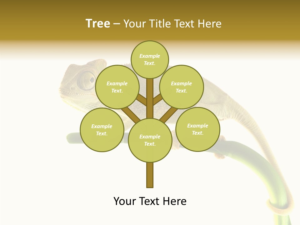 Beauty Chameleon Pigment PowerPoint Template