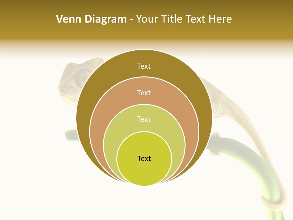 Beauty Chameleon Pigment PowerPoint Template