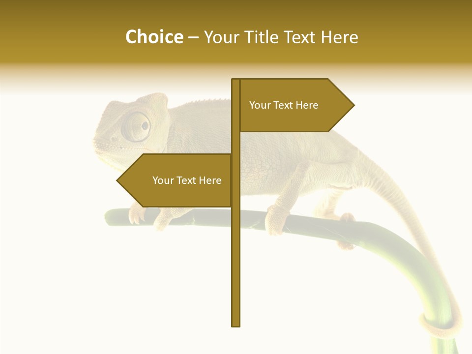 Beauty Chameleon Pigment PowerPoint Template