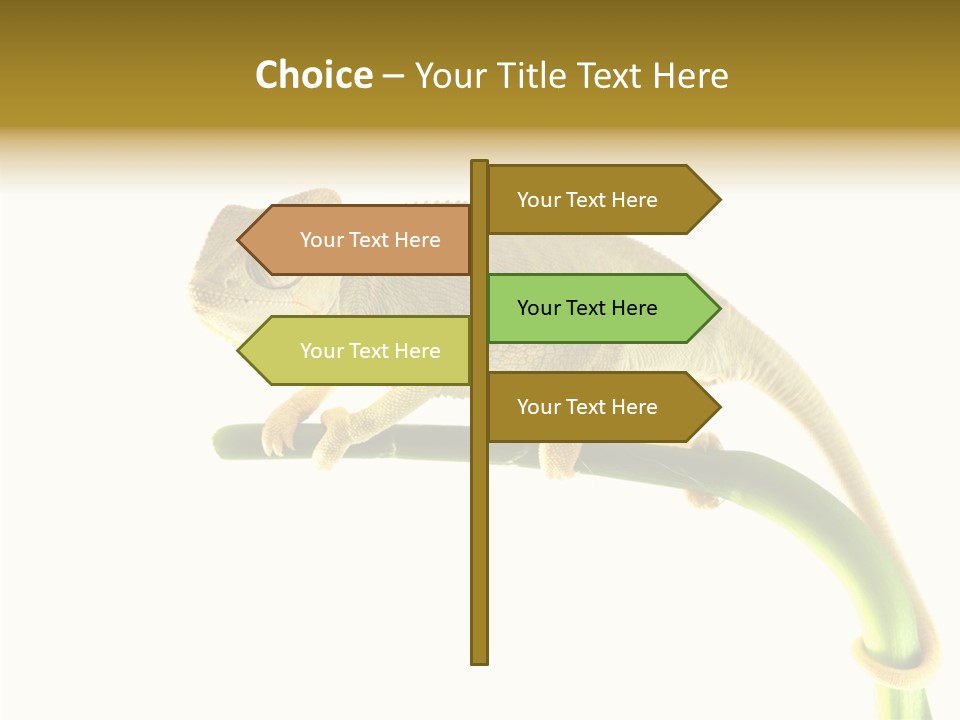 Beauty Chameleon Pigment PowerPoint Template