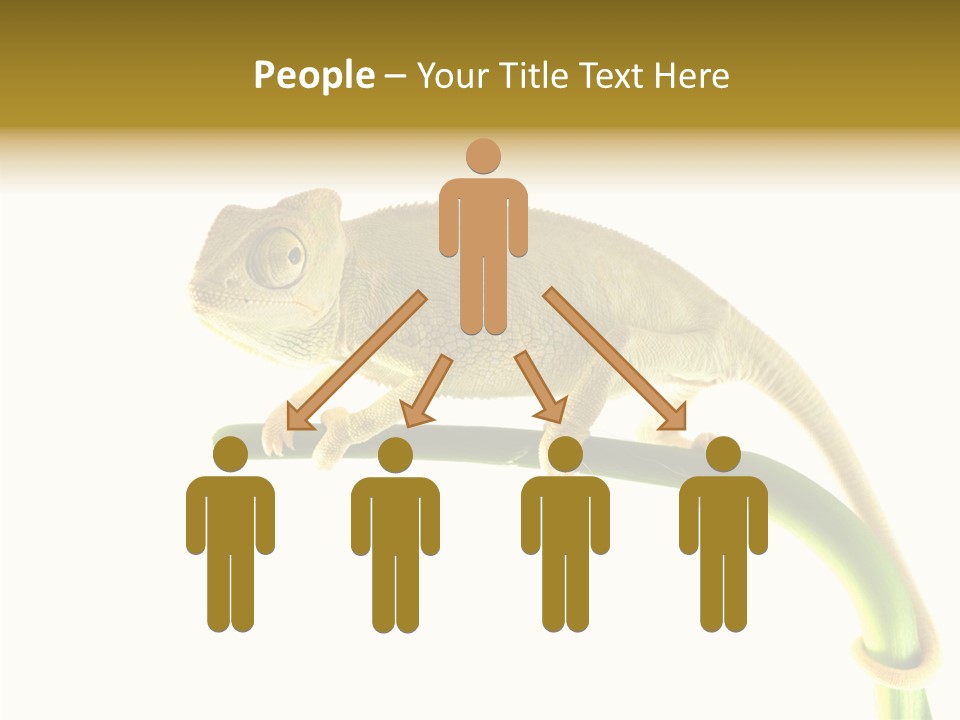 Beauty Chameleon Pigment PowerPoint Template