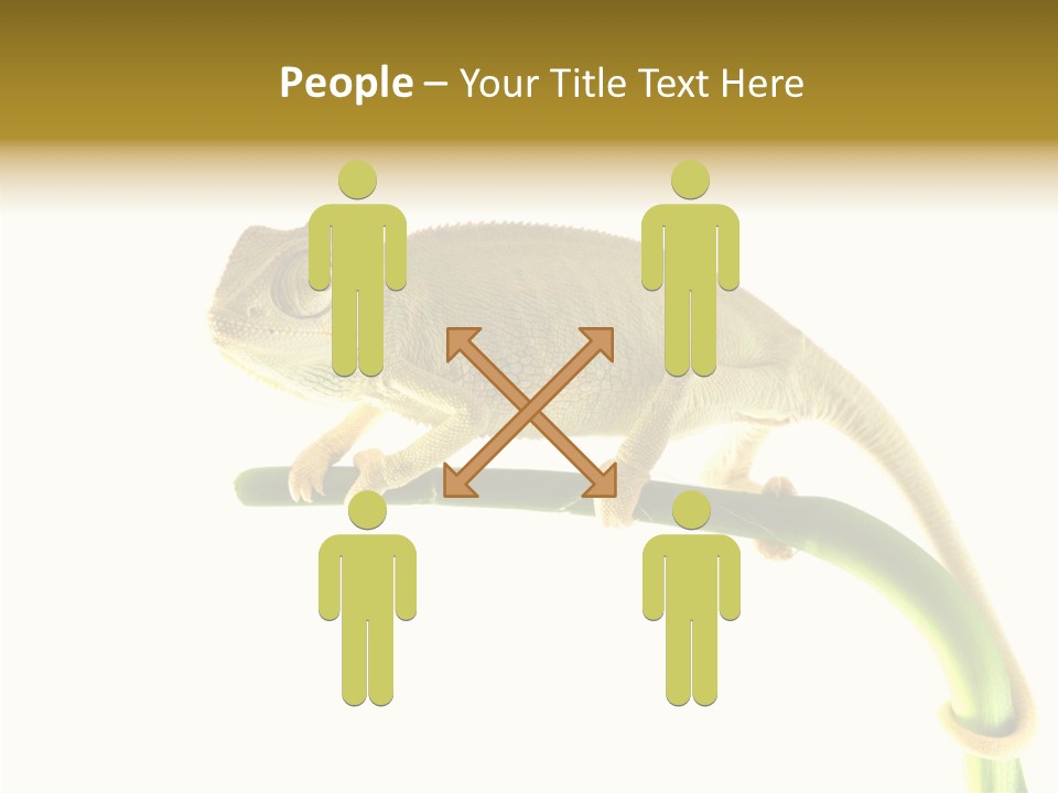 Beauty Chameleon Pigment PowerPoint Template