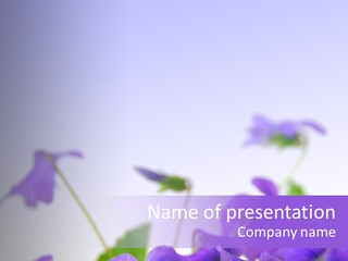 Spring Botany Flora PowerPoint Template