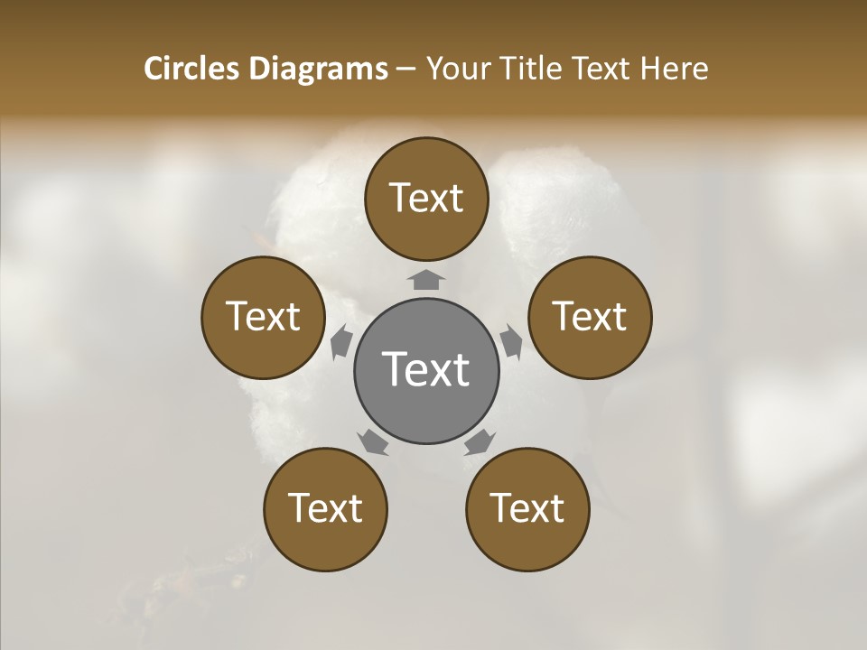 Fluffy Agriculture Bud PowerPoint Template