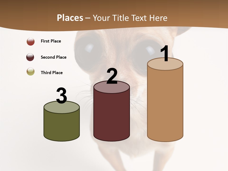 Chihuahua Funny Mutt PowerPoint Template