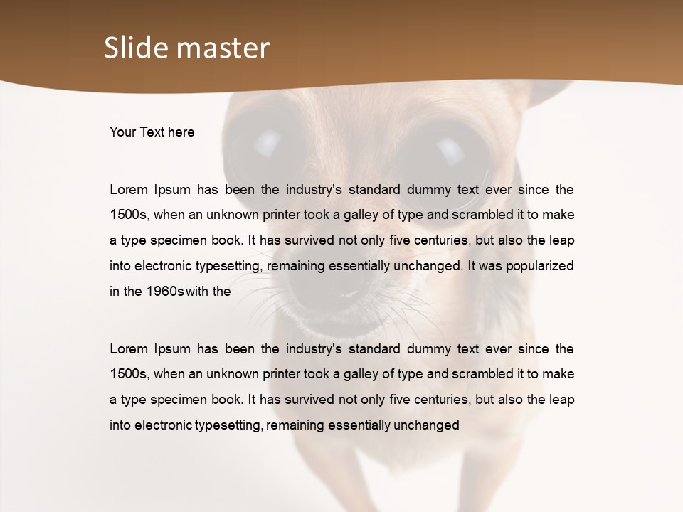 Chihuahua Funny Mutt PowerPoint Template