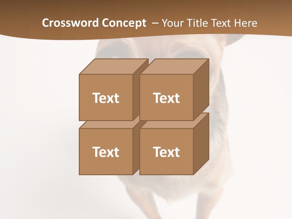 Chihuahua Funny Mutt PowerPoint Template