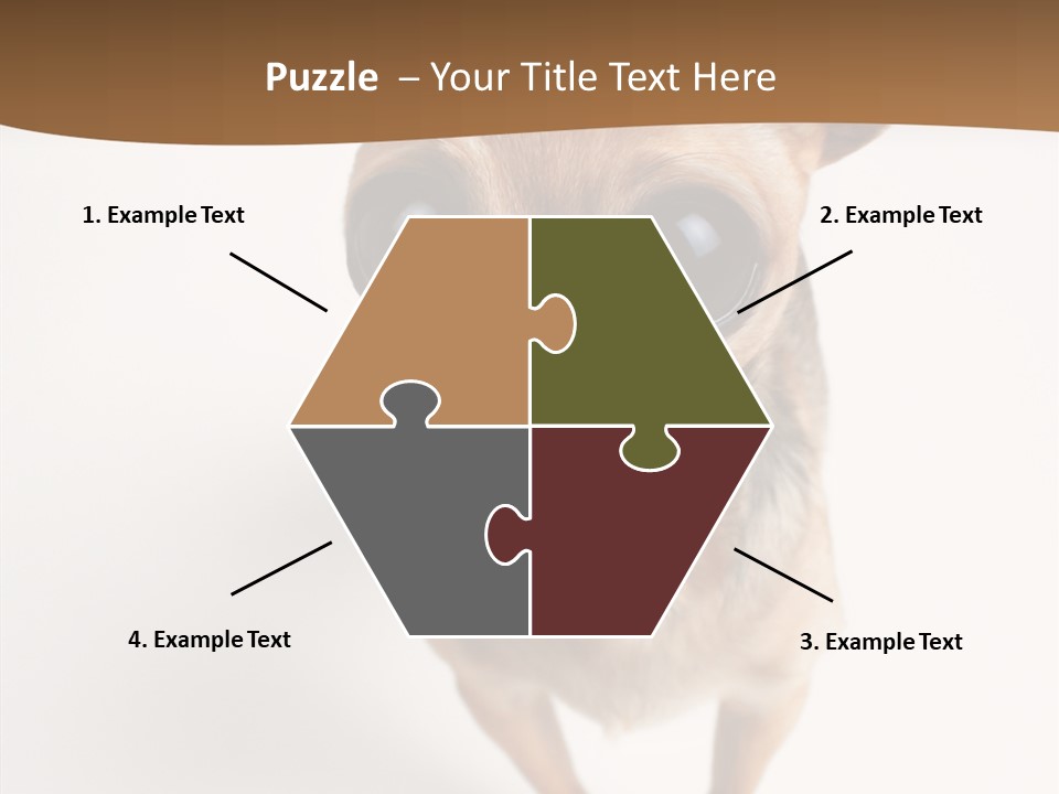 Chihuahua Funny Mutt PowerPoint Template