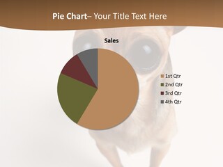 Chihuahua Funny Mutt PowerPoint Template