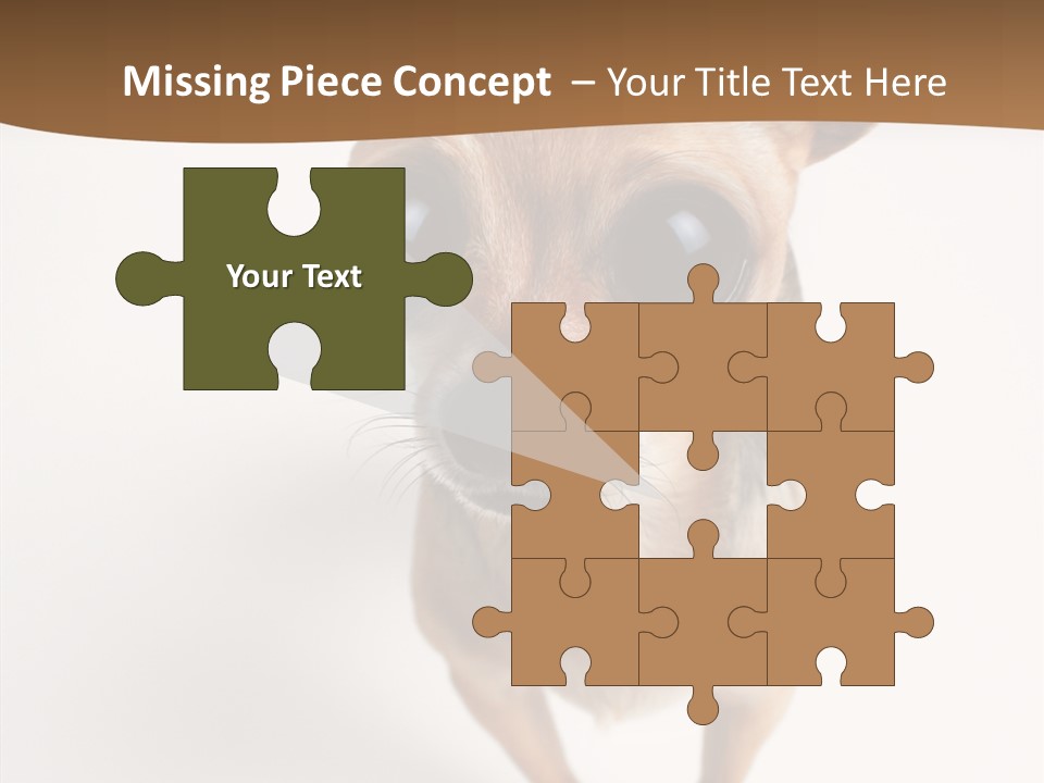 Chihuahua Funny Mutt PowerPoint Template