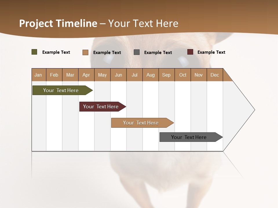 Chihuahua Funny Mutt PowerPoint Template