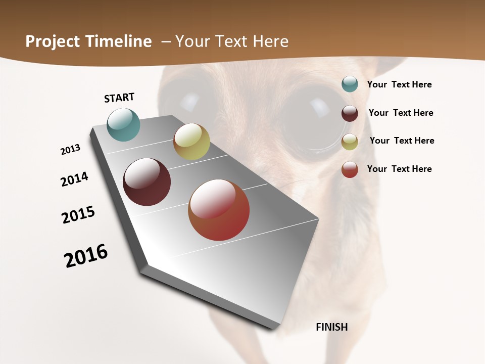 Chihuahua Funny Mutt PowerPoint Template