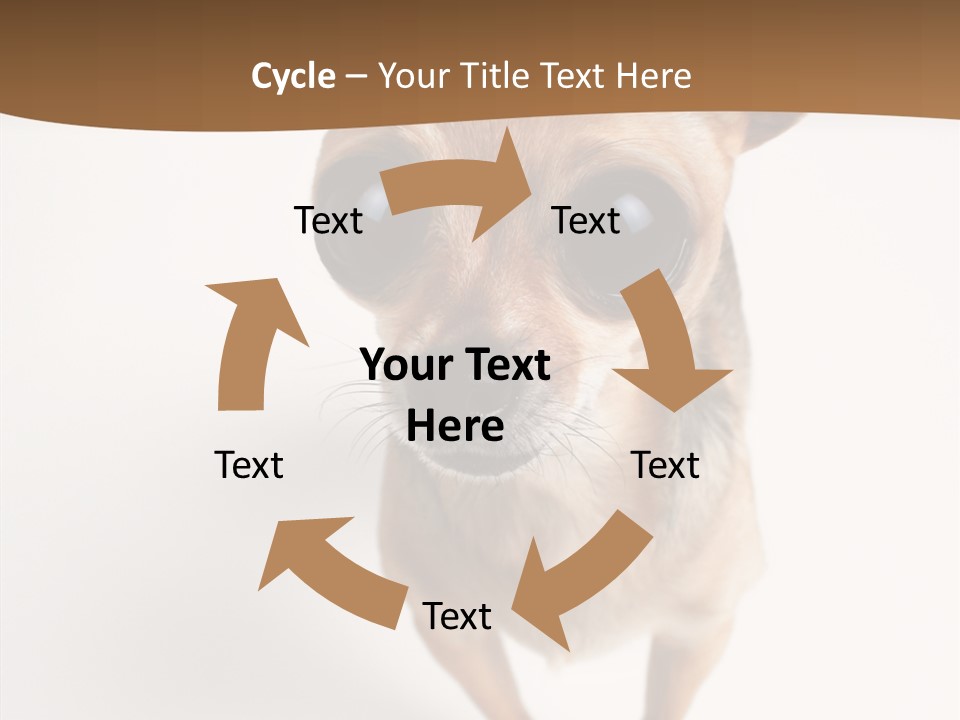 Chihuahua Funny Mutt PowerPoint Template