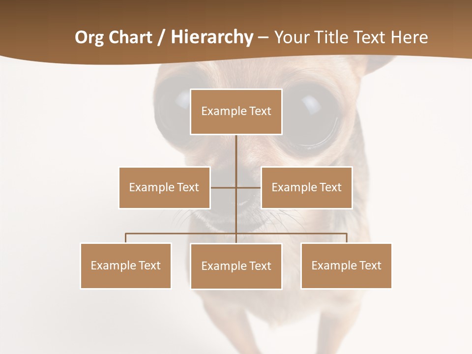 Chihuahua Funny Mutt PowerPoint Template