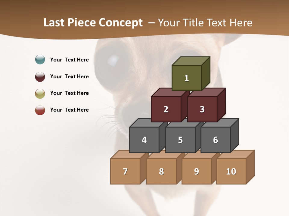 Chihuahua Funny Mutt PowerPoint Template
