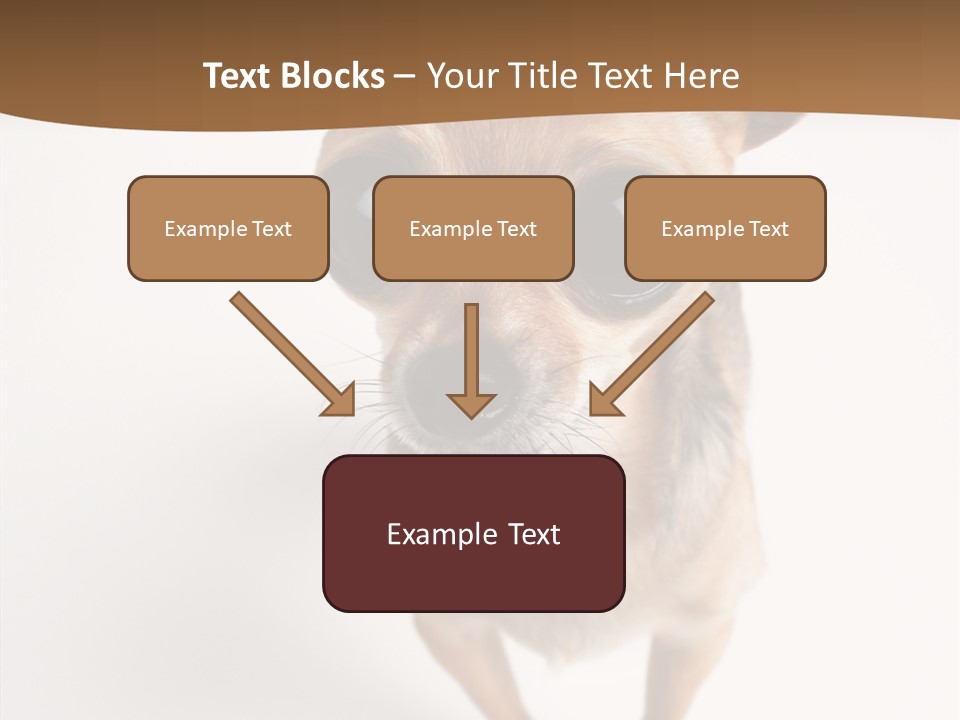 Chihuahua Funny Mutt PowerPoint Template