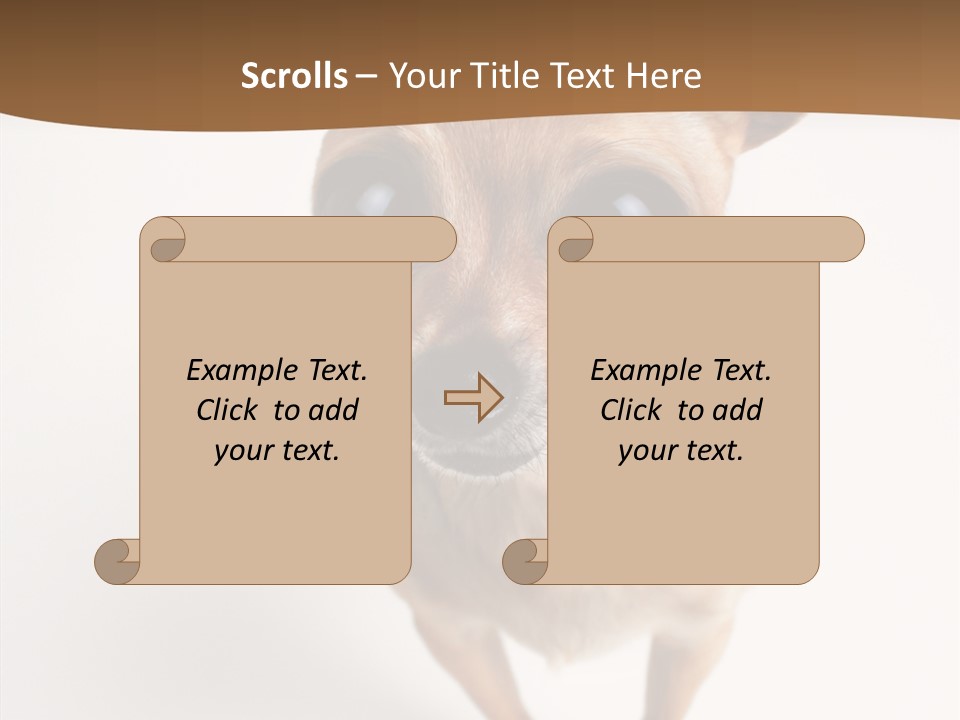 Chihuahua Funny Mutt PowerPoint Template