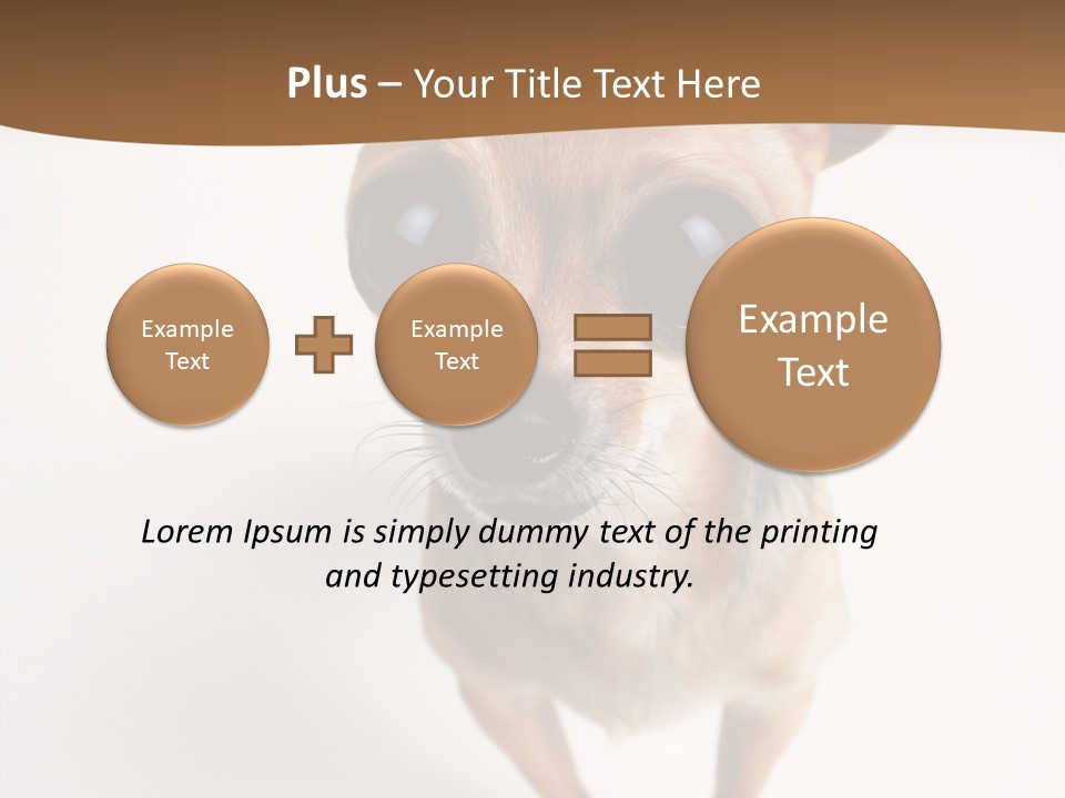 Chihuahua Funny Mutt PowerPoint Template