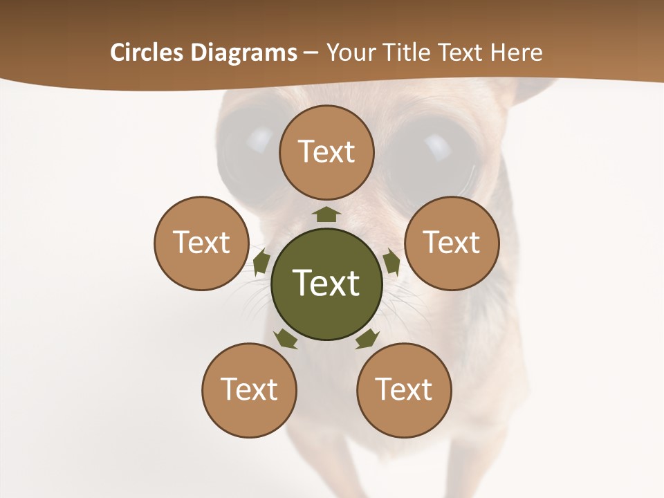 Chihuahua Funny Mutt PowerPoint Template