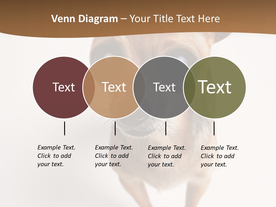 Chihuahua Funny Mutt PowerPoint Template